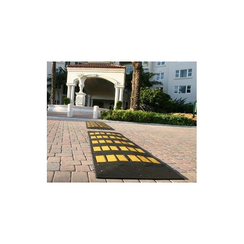 lomo_de_toro_premium_90_cms